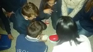 14291800_10210245663836068_1351794698473803719_n